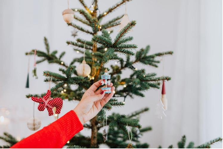 How Artificial Christmas Trees Became a Political Statement in Liberal Politics