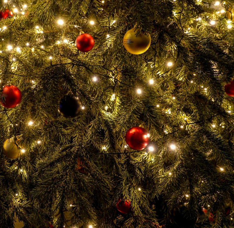 The King of Christmas Trees: Flocked Luxury Trees with Lights