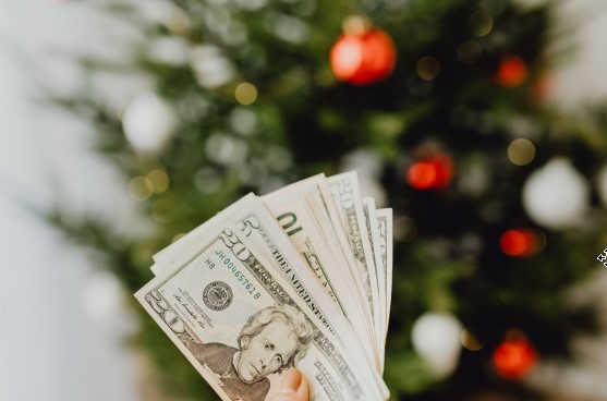 The King of Christmas Trees: Multi-Color Magic